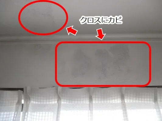 名古屋市のT様邸で雨漏り修理工事（屋根・防水工事） 施工前
